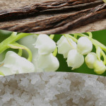 VANILLA & SEA SALT